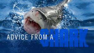Advice from a Shark