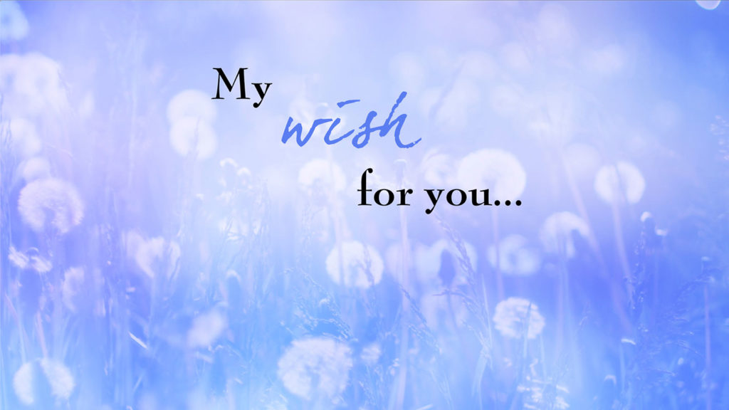 My Birthday Wish for You